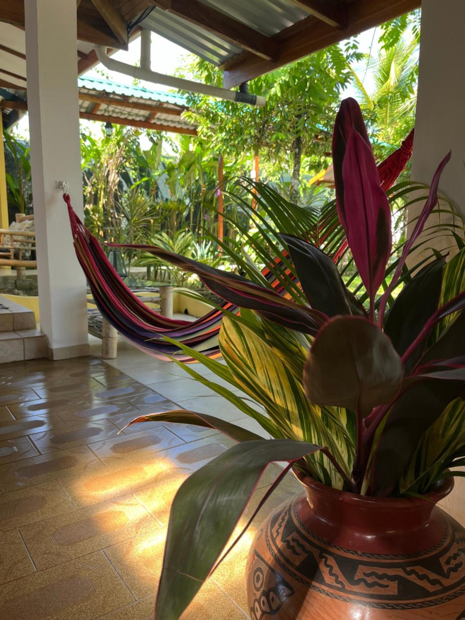 Hotel Pura Vida Puerto Viejo de Talamanca Zewnętrze zdjęcie