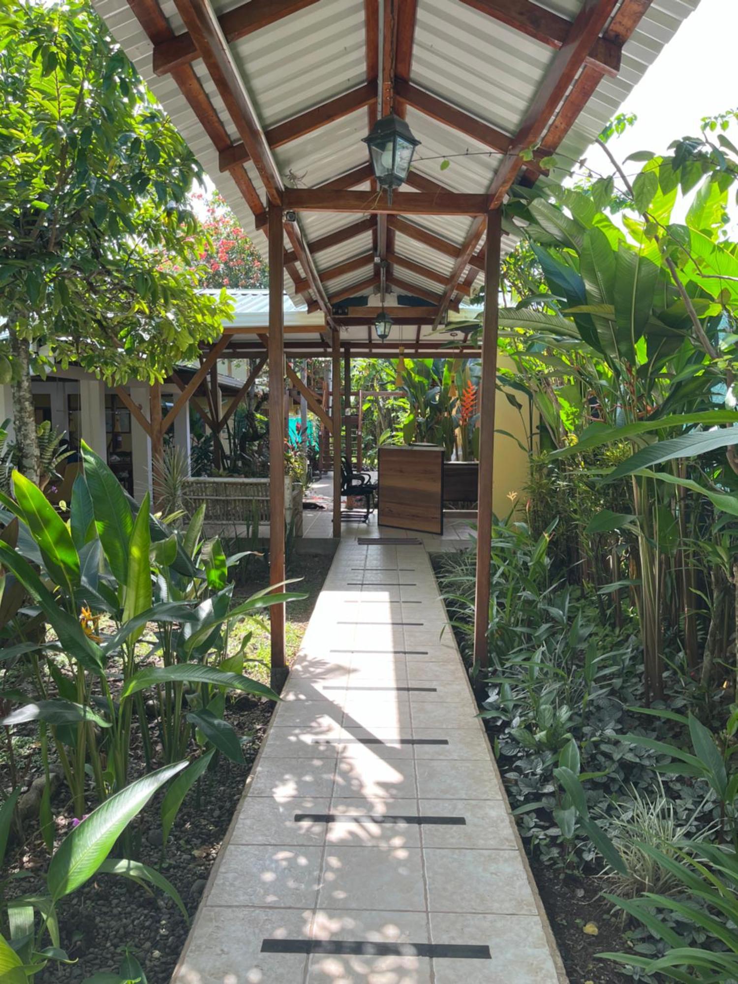 Hotel Pura Vida Puerto Viejo de Talamanca Zewnętrze zdjęcie