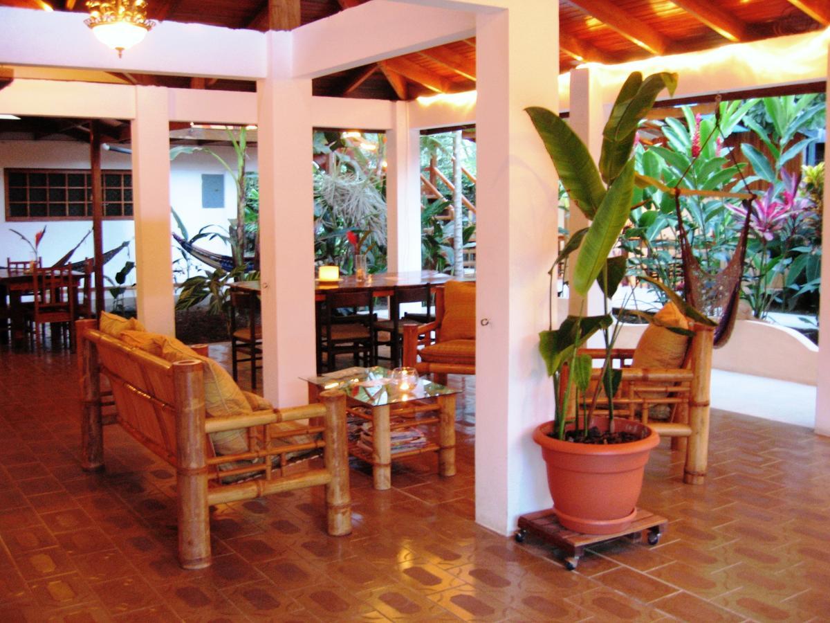 Hotel Pura Vida Puerto Viejo de Talamanca Zewnętrze zdjęcie
