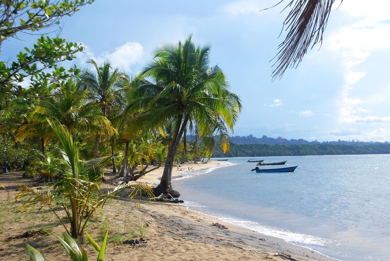 Hotel Pura Vida Puerto Viejo de Talamanca Zewnętrze zdjęcie