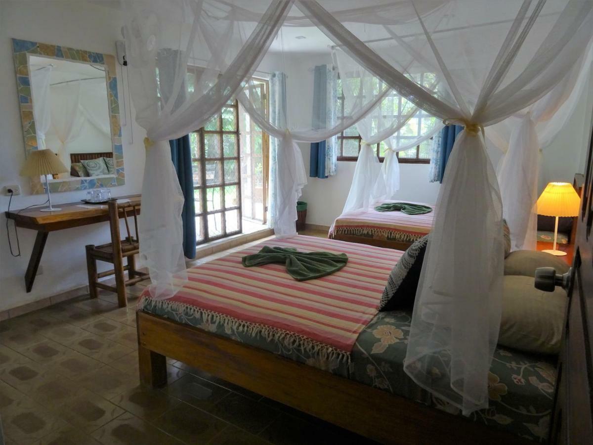 Hotel Pura Vida Puerto Viejo de Talamanca Zewnętrze zdjęcie