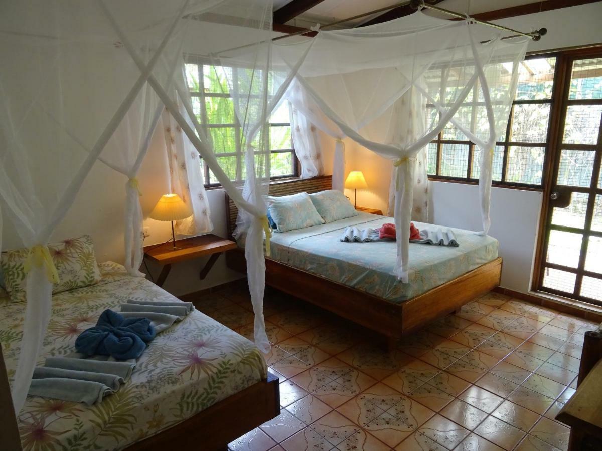Hotel Pura Vida Puerto Viejo de Talamanca Zewnętrze zdjęcie