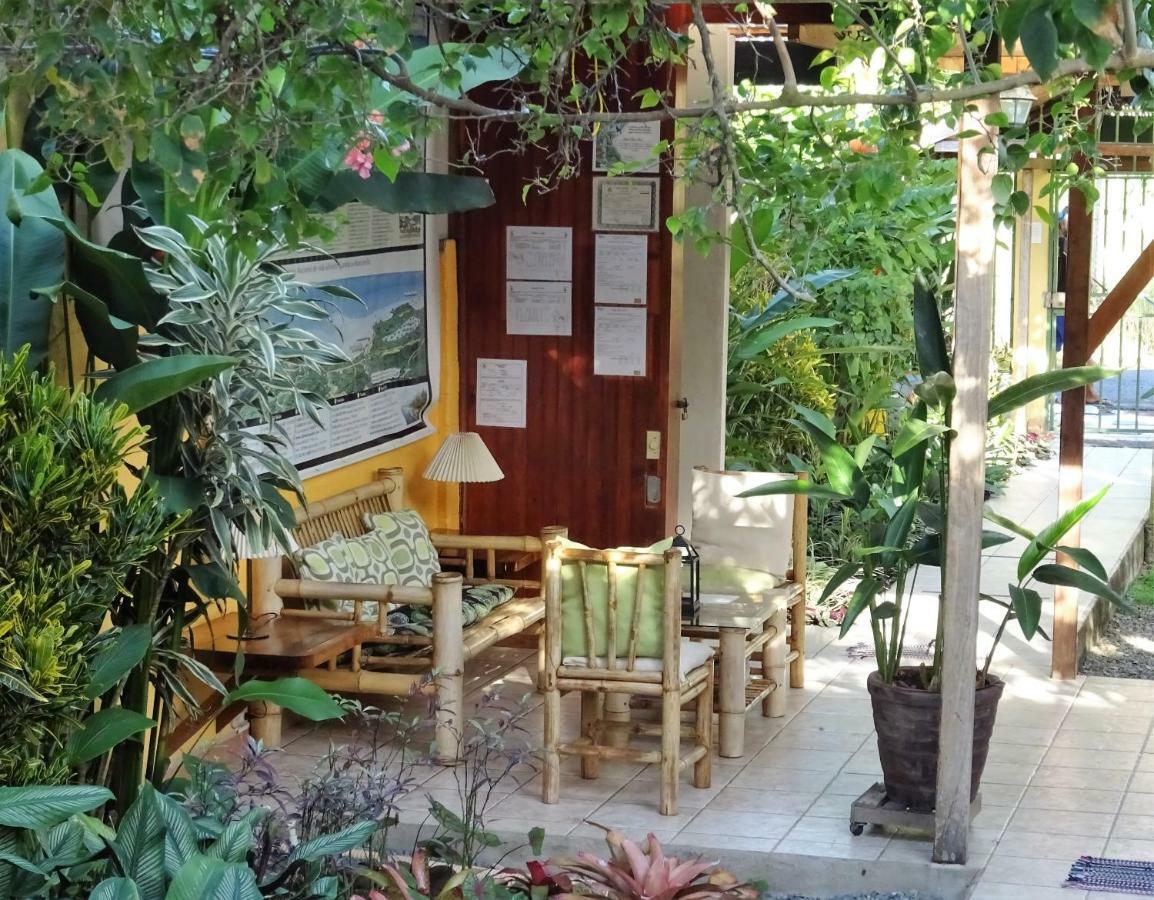 Hotel Pura Vida Puerto Viejo de Talamanca Zewnętrze zdjęcie