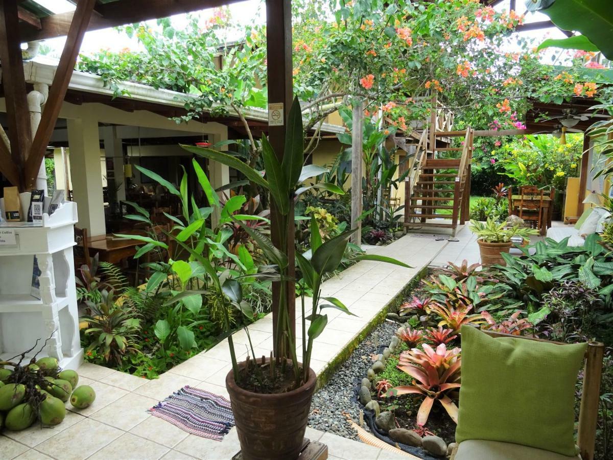 Hotel Pura Vida Puerto Viejo de Talamanca Zewnętrze zdjęcie