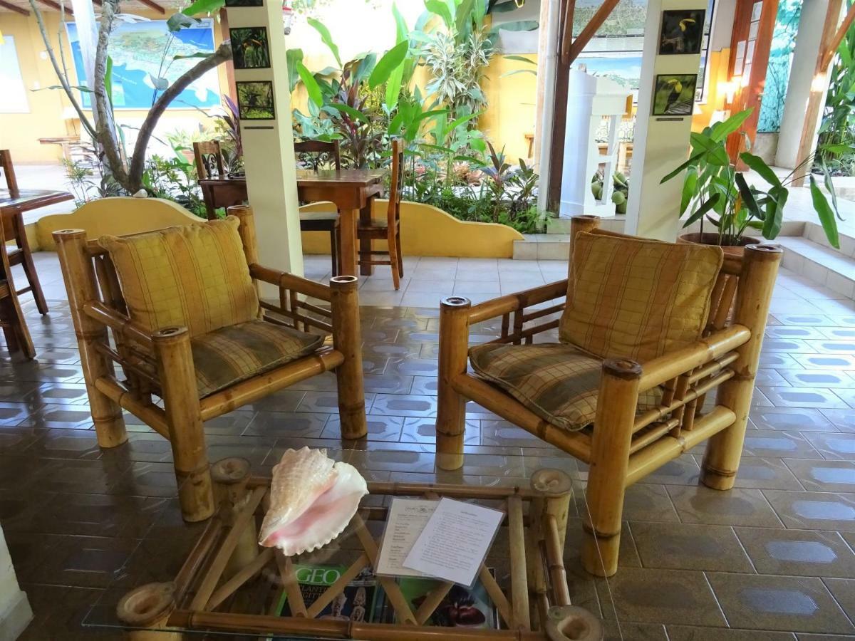 Hotel Pura Vida Puerto Viejo de Talamanca Zewnętrze zdjęcie