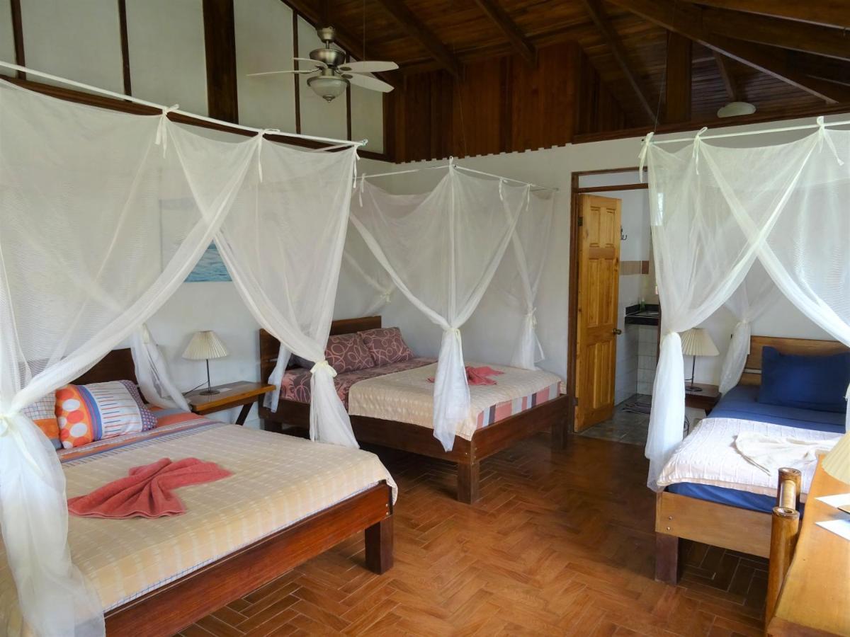Hotel Pura Vida Puerto Viejo de Talamanca Zewnętrze zdjęcie