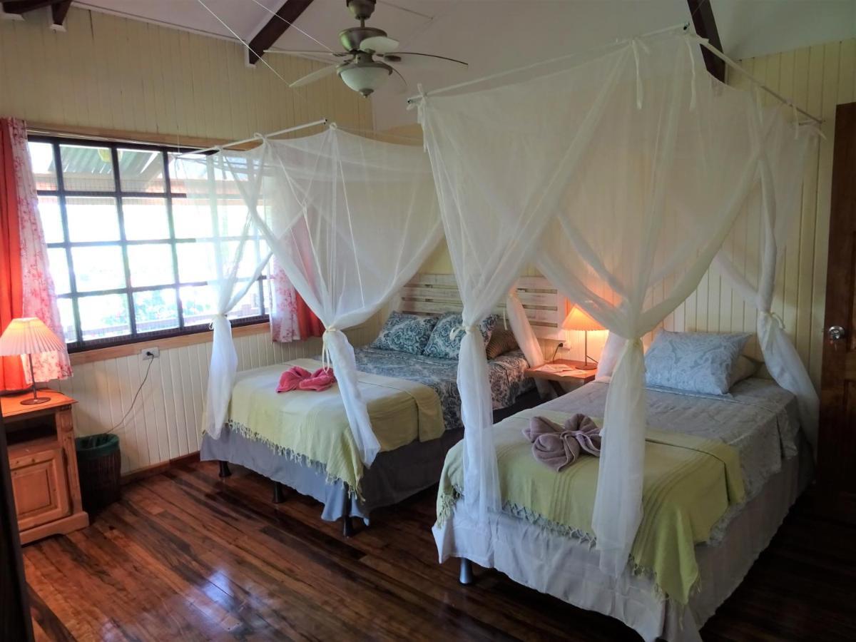 Hotel Pura Vida Puerto Viejo de Talamanca Zewnętrze zdjęcie