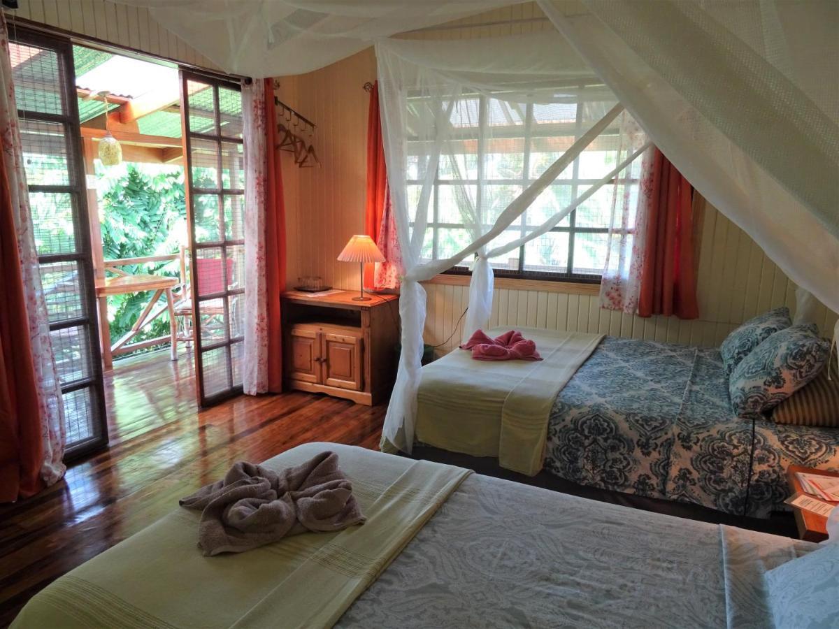 Hotel Pura Vida Puerto Viejo de Talamanca Zewnętrze zdjęcie